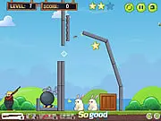 Garden Shooting