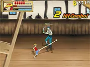 One Piece - Path to Pirate King