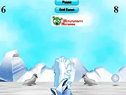Seal Volleyball