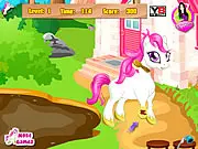 Cute Pony Care Flash