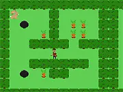 Hares Harvest
