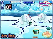 Arctic Foxes