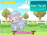 Lamb Care