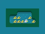 Get Your Ducks in a Row