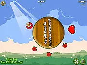 Rolling Angry Birds