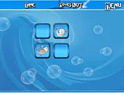 Aquamarine Memory
