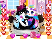 Heart Cats Dress Up