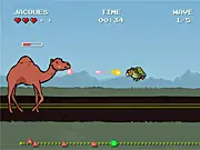 Jontron: Bird vs. Camel