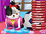 Yorkie Dressup