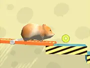 Hamster Maze Online