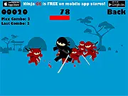 Ninja CC