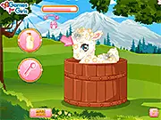 Pet Stars: Lovely Lamb