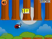 Fly Ladybird