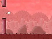 Fallopian Bird