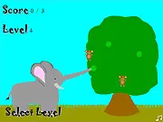 Marula