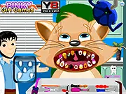 Cat Dental Care