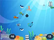 Fishing Bombs