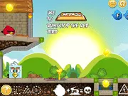 Angry Birds Find Your Partner