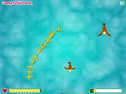 Leader Bird