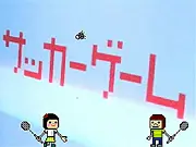 Badminton Flash
