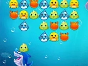 Shark Dash