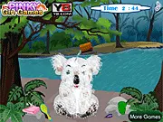 Baby Koala Accident Care
