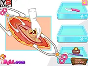 Elsa Appendicitis Operation
