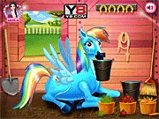 Rainbow Dash and the New Born Baby