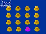 Duck - Think Outside The Flock