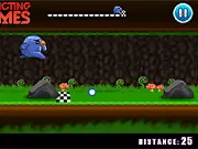 Run Bird Run