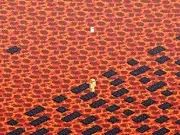 Noob Vs Lava