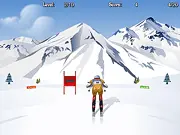 Giant Slalom