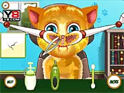 Talking Ginger Nose Treatment