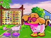 Cute Puppy