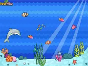Magical Underwater World