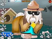 Havanese Dog Dressup