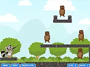Crazy Racoon Player Pack