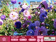 Flower Garden- Hidden Object