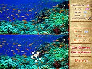 Seabed Adventures
