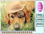 Melancholic dogs hidden numbers