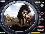 War Horse - Find the Numbers