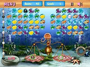 Jellyfish - Sea Puzzle