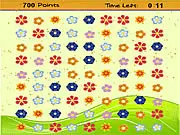 Flowers Match
