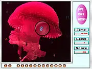 Sea Animals hidden numbers