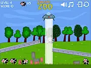 UFO Like Cows