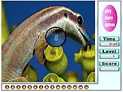 Nice Ocean Animals Hidden Numbers