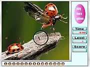 Bugs on the Woods Hidden Numbers