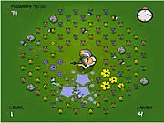 Paintball Garden
