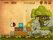 Ninja Mushroom