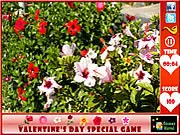 Valentine's Day  Hidden Flowers